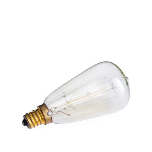 Edison melter bulb