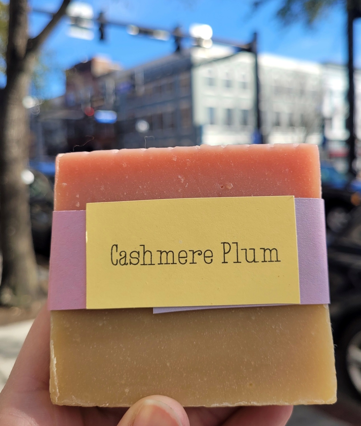 Cashmere Plum