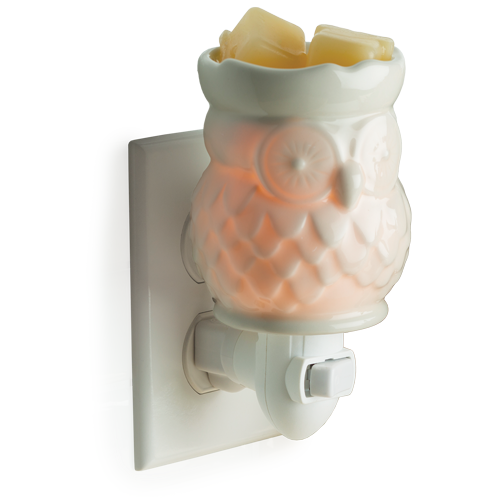 Owl white wax melter