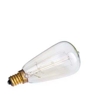 Edison melter bulb