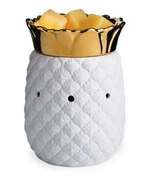 Large Pineapple wax melter